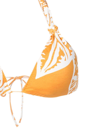 Clube Bossa Graphic-print Halterneck Bikini Top In Orange