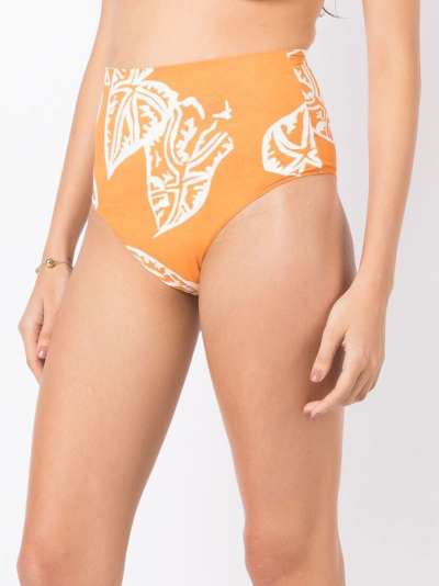 Shop Clube Bossa Ceanna High-waisted Bikini Bottoms In Orange