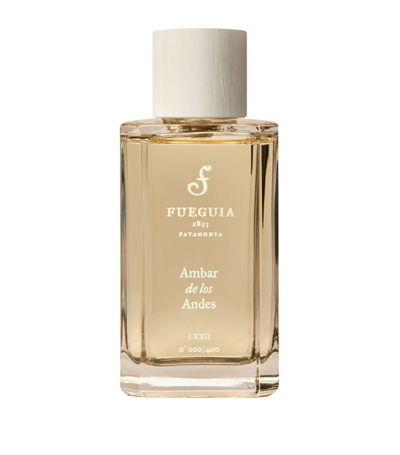 Shop Fueguia Ambar De Los Andes Perfume (100ml) In Multi