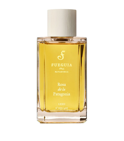 Shop Fueguia Rosa De La Patagonia Perfume (100ml) In Multi