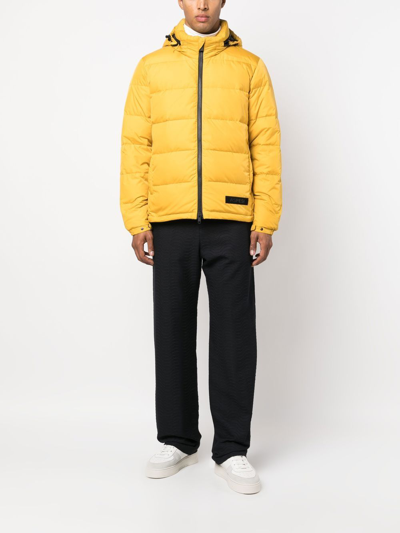 Shop Aspesi Logo-patch Down Puffer Jacket In Yellow