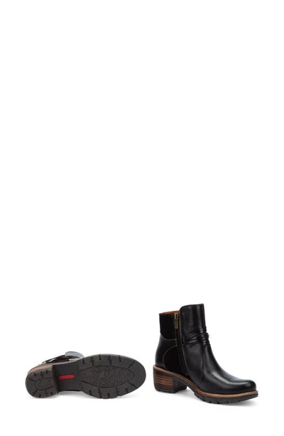 Pikolinos San Sebastian Water Resistant Boot In Black