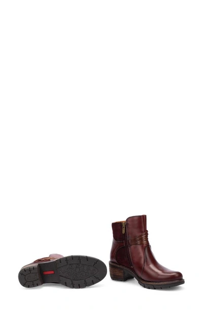 Pikolinos San Sebastian Water Resistant Boot In Arcilla