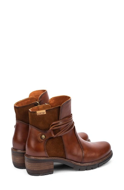 Pikolinos San Sebastian Water Resistant Boot In Cuero