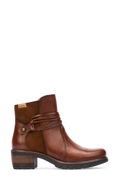 Shop Pikolinos San Sebastian Water Resistant Boot In Cuero