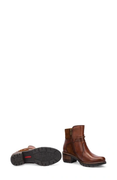 Shop Pikolinos San Sebastian Water Resistant Boot In Cuero