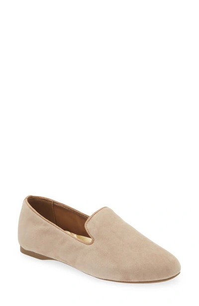 Shop Birdies Starling Flat In Latte Suede