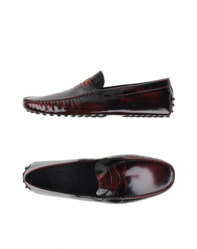 Tod's Moccasins In Maroon