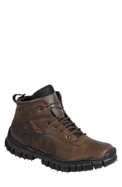 Shop Sandro Moscoloni Ivor Hiking Boot In Brown