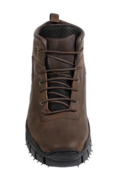 Shop Sandro Moscoloni Ivor Hiking Boot In Brown