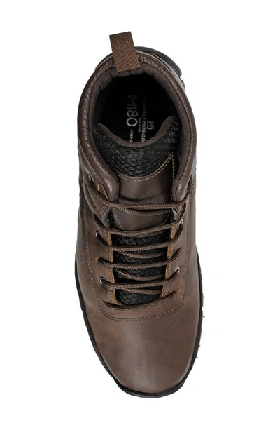 Shop Sandro Moscoloni Ivor Hiking Boot In Brown