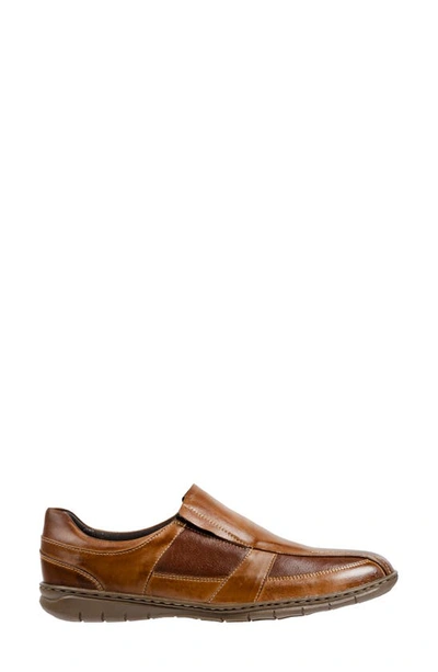 Sandro Moscoloni Lear Slip-on Sneaker In Tan
