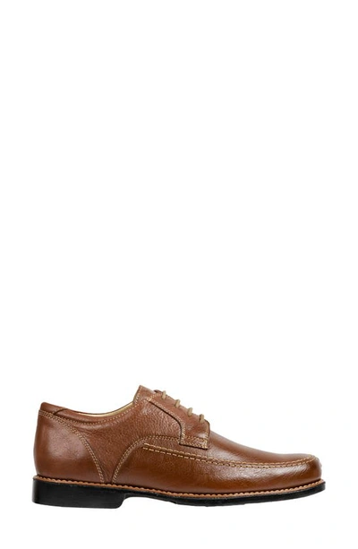 Shop Sandro Moscoloni Willy Split Toe Derby In Tan