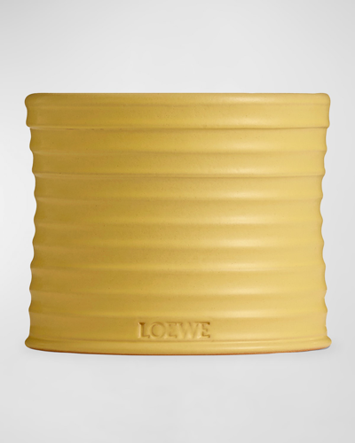 Shop Loewe 21.5 Oz. Medium Honeysuckle Candle