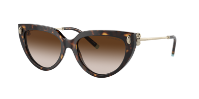 Shop Tiffany & Co . Woman Sunglass Tf4195 In Brown Gradient