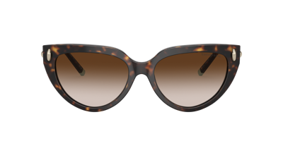 Shop Tiffany & Co . Woman Sunglass Tf4195 In Brown Gradient