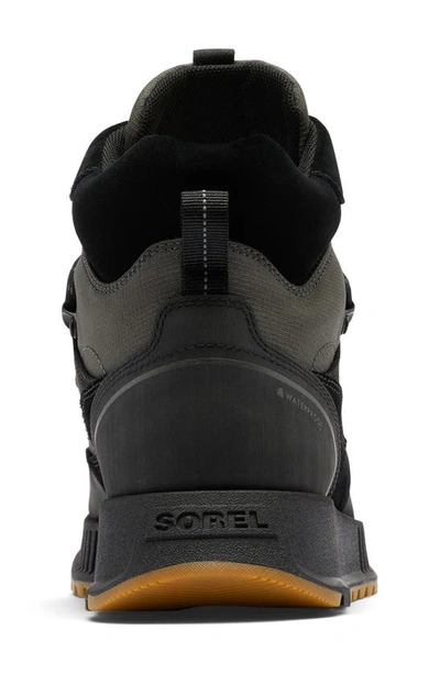 Shop Sorel Mac Hill™ Lite Trace Waterproof Boot In Black/ Jet