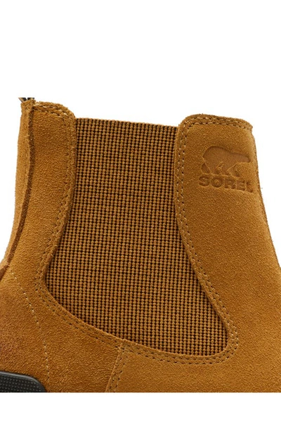 Shop Sorel Hi-line Waterproof Chelsea Boot In Geo Yellow/ Jet