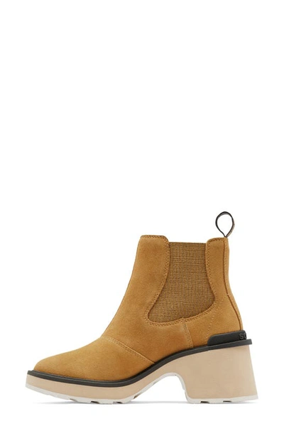 Shop Sorel Hi-line Waterproof Chelsea Boot In Geo Yellow/ Jet