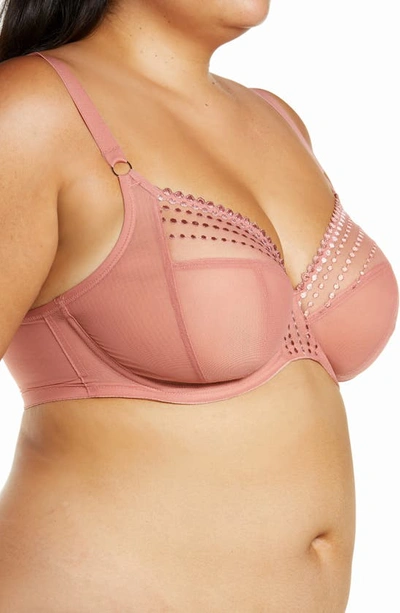 Shop Elomi Matilda Full Figure Underwire Plunge Bra In Rose Gold