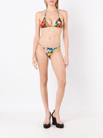 Shop Amir Slama Floral-print Halterneck Bikini In Multicolour