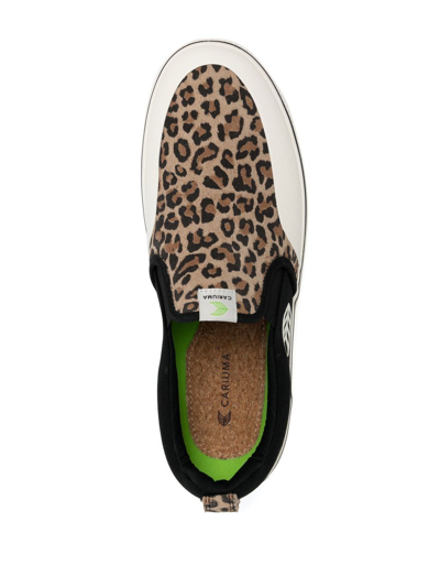 Shop Cariuma Skate Pro Leopard-print Sneakers In Brown