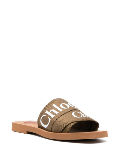 Shop Chloé Woody Flat Sandals In Brown