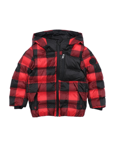 Shop Woolrich Toddler Boy Puffer Red Size 4 Polyester