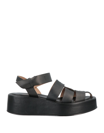 Shop Alysi Woman Sandals Black Size 6 Soft Leather