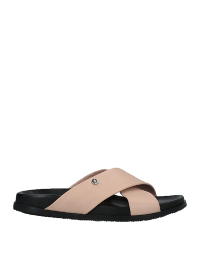 Shop Pollini Woman Sandals Blush Size 6 Calfskin In Pink