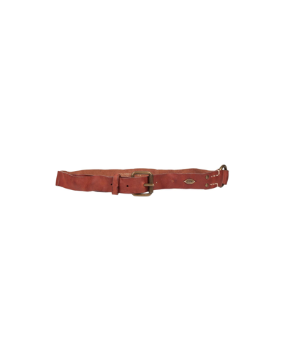 Shop Dondup Belts In Brown