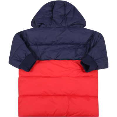 Shop Timberland Multicolor Jacket For Baby Boy