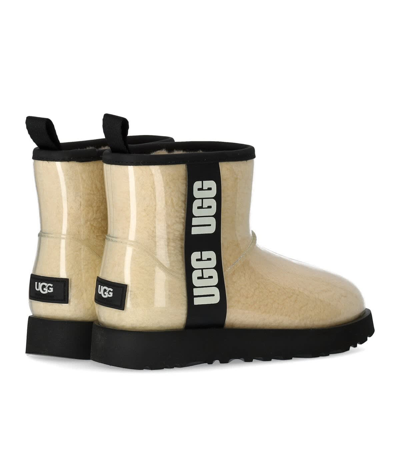 Shop Ugg Classic Clear Mini Ivory Black Boot In Naturale