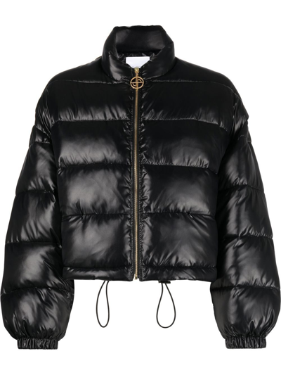 Shop Patou Cropped Puffer Jacket In Black