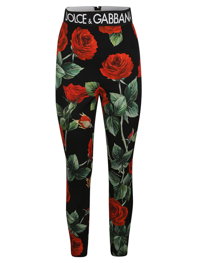 Shop Dolce & Gabbana Rose Print Logo Waisted Leggings In Rose/black