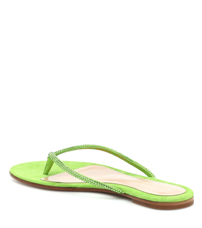 Shop Gianvito Rossi India Suede Thong Sandals In Green
