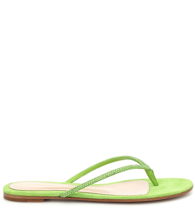 Shop Gianvito Rossi India Suede Thong Sandals In Green