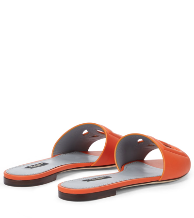 Dolce & Gabbana Slide Sandals In Orange Leather With Logo In Orange