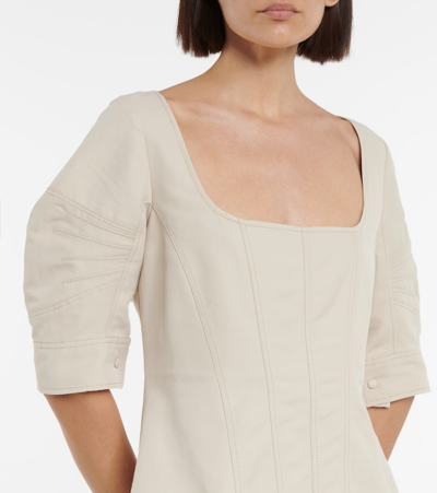 Stella Mccartney Angelina Puff-sleeve Mini Dress In Beige