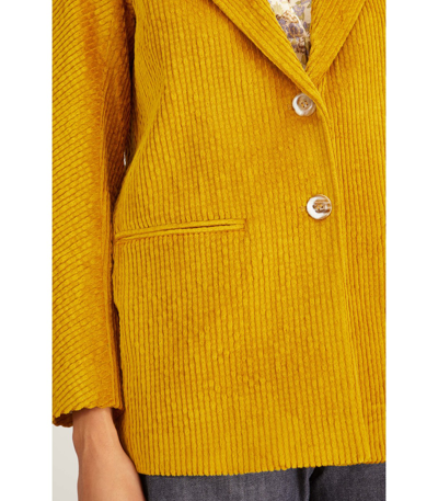 Shop Momoní Lormont Jacket In Olio In Yellow
