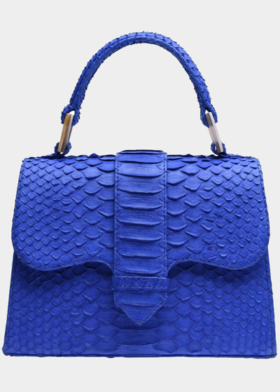 Shop Adriana Castro La Marguerite Mini Python Top-handle Bag In Blue