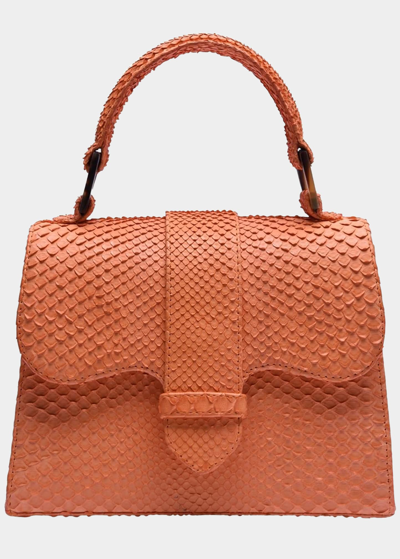 Shop Adriana Castro La Marguerite Mini Python Top-handle Bag In Mandarin