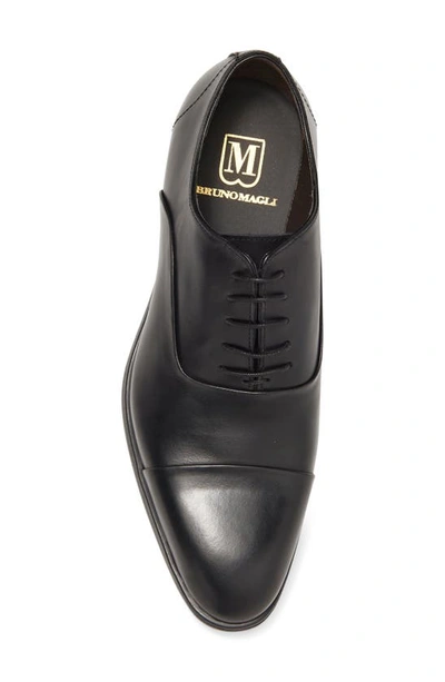 Shop Bruno Magli Mario Leather Oxford In Black