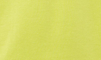 X-ray Split Neck T-shirt In Moss