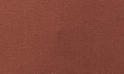 X-ray V-neck Long Sleeve T-shirt In Sienna