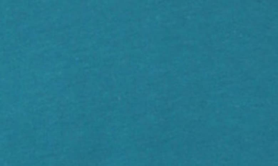 X-ray V-neck Long Sleeve T-shirt In Teal