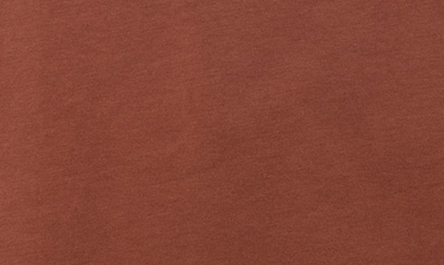 X-ray Long Sleeve Henley Shirt In Sienna