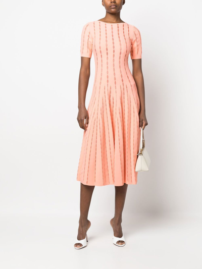 Shop Antonino Valenti Embroidered-detail Knitted Midi Dress In Pink