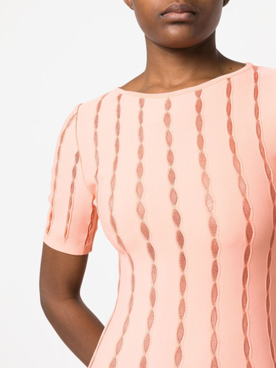 Shop Antonino Valenti Embroidered-detail Knitted Midi Dress In Pink