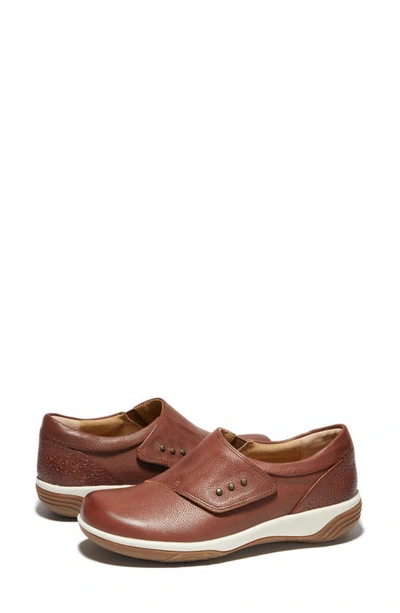 Shop Halsa Footwear Anna Sneaker In Dark Brown/ Light
